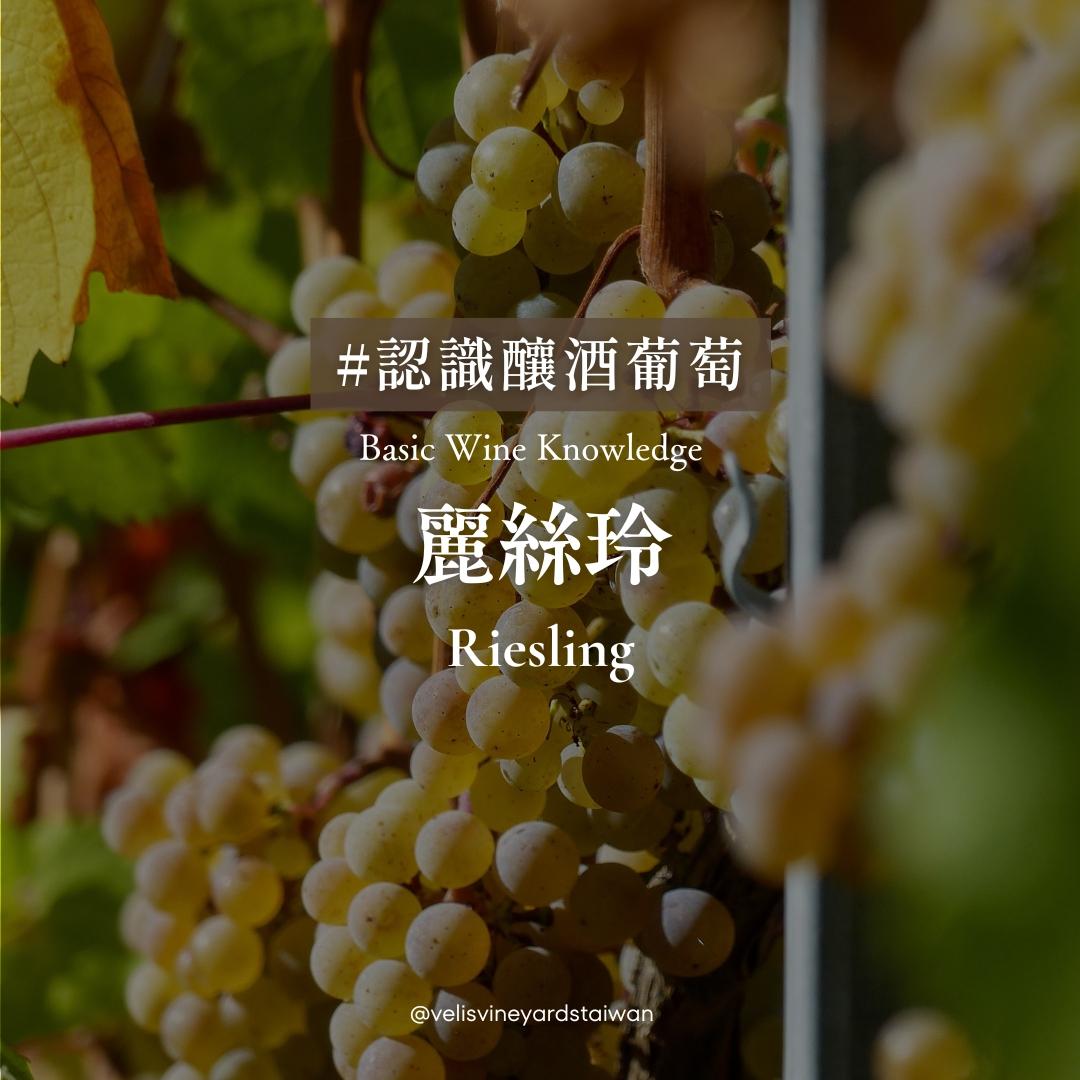 高貴選擇的代表｜麗絲玲